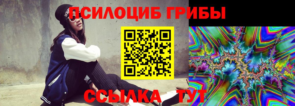 Галлюциногенные грибы MAGIC MUSHROOMS Вязники