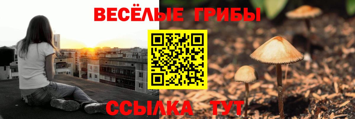 купить наркотик  Вход с VPN  Вязники  Псилоцибиновые грибы Cubensis 